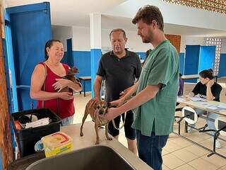 Cachorro sendo atendido por médico veterinário (Foto: Divulgação | PMCG)