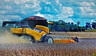 Máquina colhendo soja em propriedade rural (Foto: Saul Schramm)