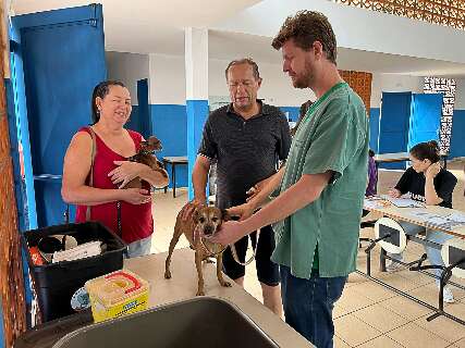 Ação oferece microchipagem e vacinação gratuita para cães e gatos