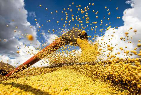 Em queda, produção brasileira de grãos deve atingir 312,3 milhões de toneladas