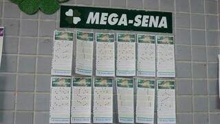 Bilhetes de apostas realizadas na Mega-Sena (Foto: Alex Machado)
