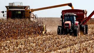 Colheitadeira descarrega milho em vagão em propriedade rural de MS; segunda safra 2023 registrou novo recorde. (Foto: Arquivo Governo MS)