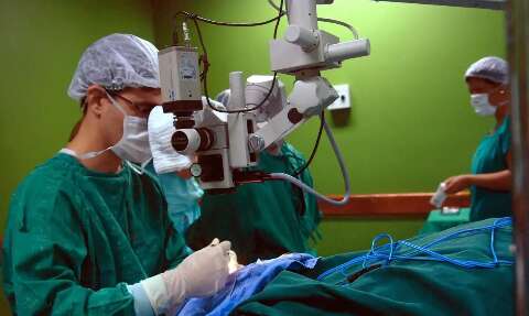 MS poder&aacute; fazer o primeiro transplante de f&iacute;gado em 2024
