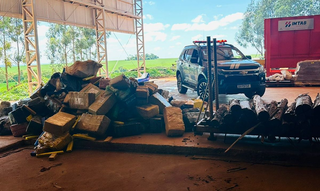 Pol&iacute;cia incinera 4 toneladas de maconha apreendida em um m&ecirc;s