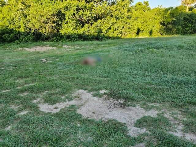 Mulher &eacute; encontrada morta com m&atilde;os amarradas e corte profundo no pesco&ccedil;o