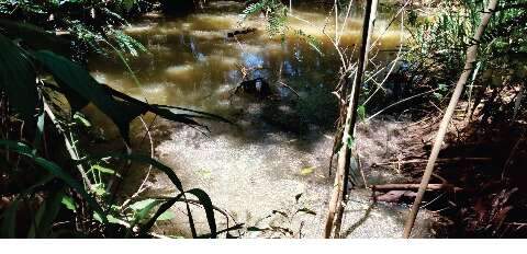 Estudo em nascentes mostra que Córrego Imbirussu é o mais poluído da Capital