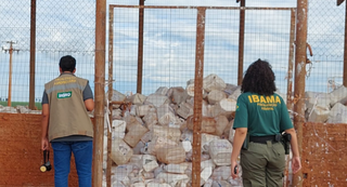 Ibama apreende aeronaves em fazendas e aplica R$ 600 milh&otilde;es em multas