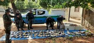 Mais de 100 peixes foram apreendidos pela PMA (Foto: Divulgação)