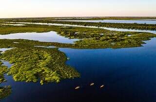 Imagem aérea do Pantanal (Foto: Reprodução)