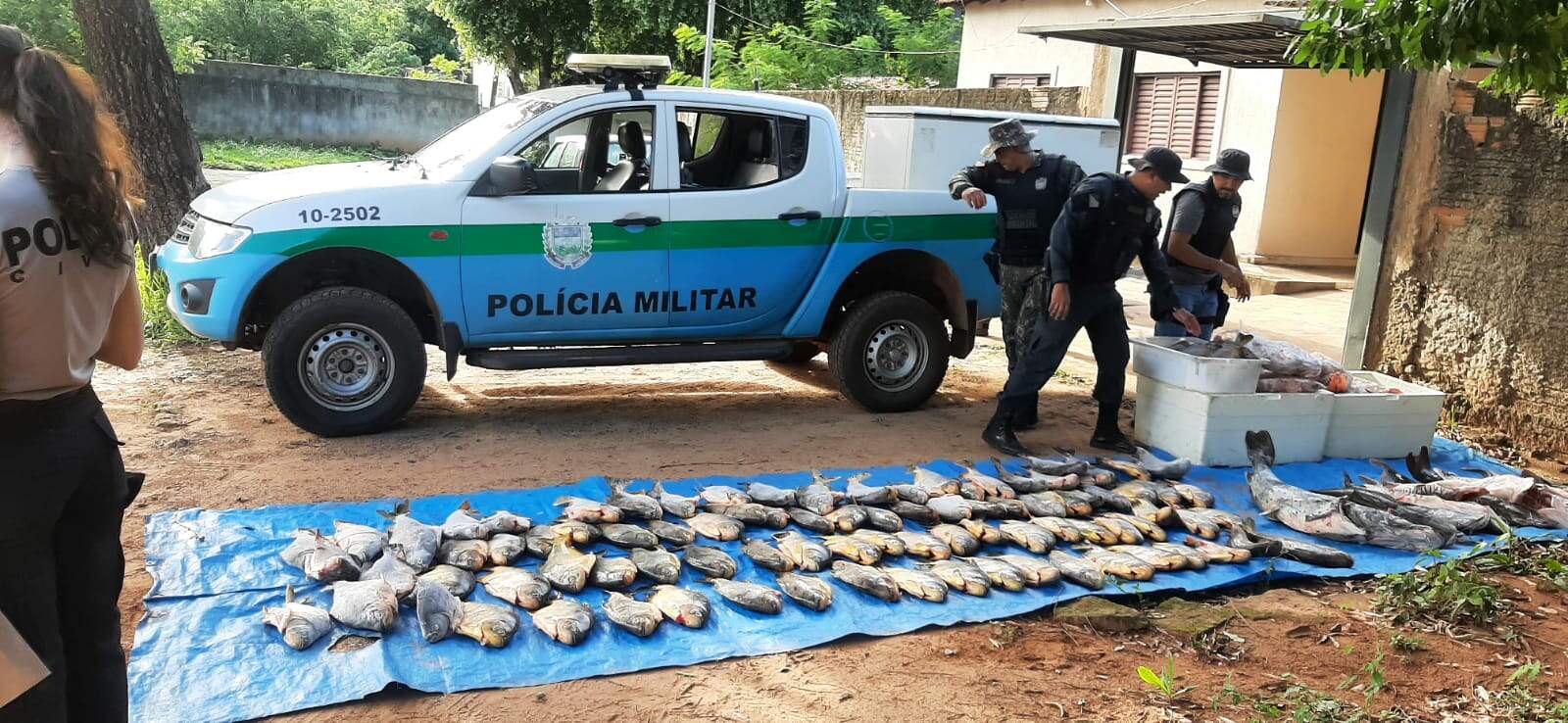 Em ação conjunta, polícias apreendem mais de 100 pescados irregulares