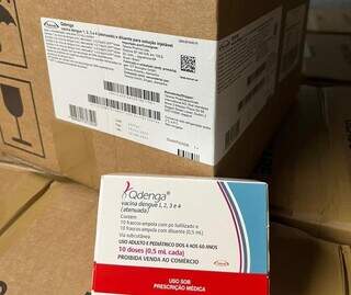 Vacina Qdenga foi aprovada em abril e já é vendida em clínicas particulares (Foto: Divulgação)