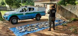 Peixes apreendidos pela Polícia Militar durante operação (Foto: Divulgação/PMA)