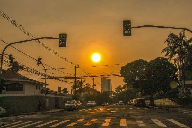 Meio Ambiente - Notícias - Campo Grande News