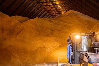 Operários trabalham em silo de armazenagem e processamento de açúcar. (Foto: Divulgação/Biosul)