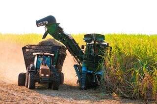 Máquinário trabalha na colheita da cana em área plantada em Mato Grosso do Sul. (Foto: Divulgação/Biosul)