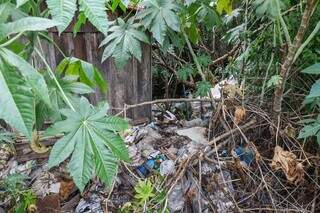 Além de quantidade expressiva de lixo acumulado, matagal também toma conta de residência (Foto: Henrique Kawaminami)