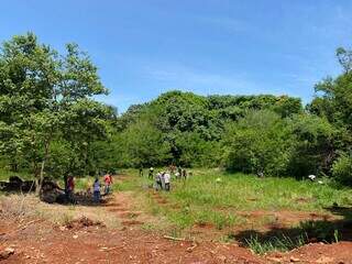 Área onde está sendo plantadas as mudas doadas pela Águas Guariroba (Foto: Clara Farias)