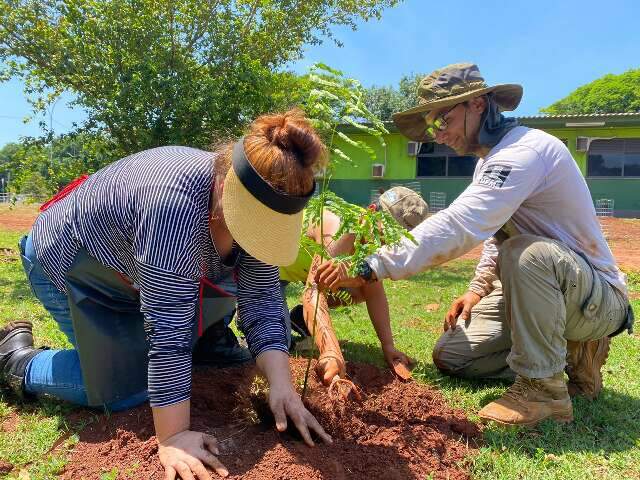 Meio Ambiente - Notícias - Campo Grande News