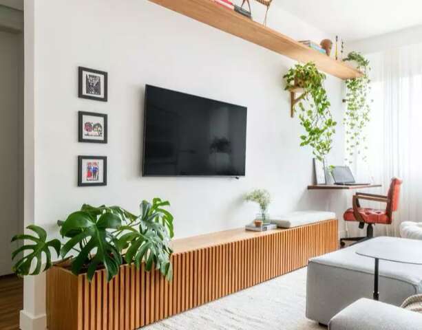 Arquiteta d&aacute; dicas para decorar a casa com plantas no fim de ano