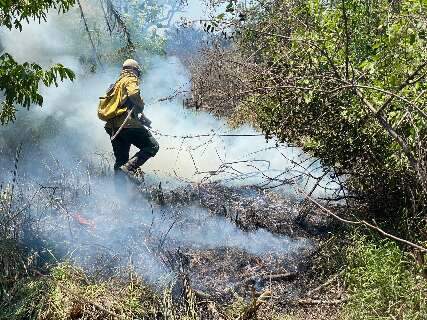 Bombeiros e brigadistas tentam controlar fogo no Pantanal há três dias