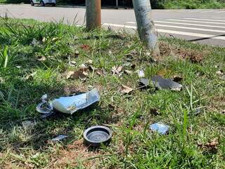 Poste ficou com marcas da colisão e pedaços dos veículos ficaram pelo canteiro (Foto: Geniffer Valeriano)