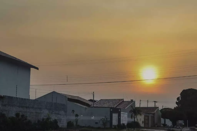 Meio Ambiente - Notícias - Campo Grande News