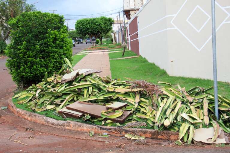 Campo Grande News