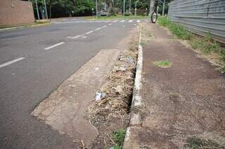 Acúmulo de lixo em bueiro próximo à Avenida Rachid Neder (Foto: Paulo Francis)