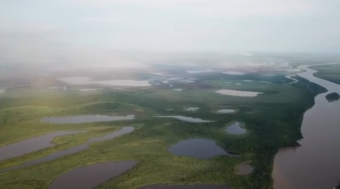 Chuva no Pantanal apaga focos de inc&ecirc;ndio e bombeiros voltam para casa