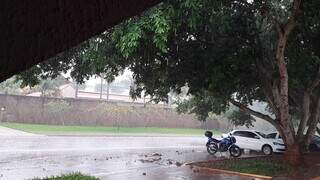 Chuva no Parque dos Poderes, em Campo Grande, nesta manhã (Foto: Ana Beatriz Rodrigues)