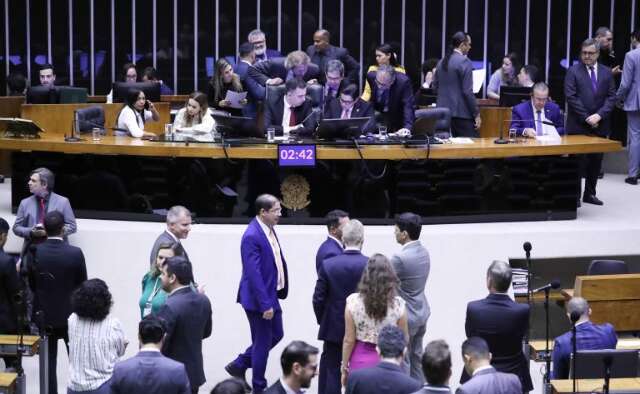 Apenas Camila Jara da bancada petista votou contra o fund&atilde;o eleitoral turbinado