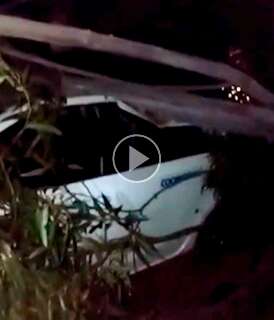 Táxi tem"perda total" após ser atingido por árvore no Residencial Flores 
