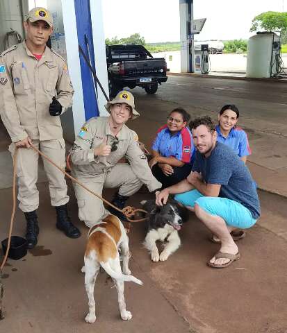 Bombeiros encontram c&atilde;o que desapareceu ap&oacute;s acidente com morte de casal