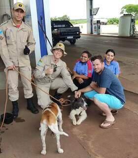 Bombeiros encontram c&atilde;o que desapareceu ap&oacute;s acidente com morte de casal