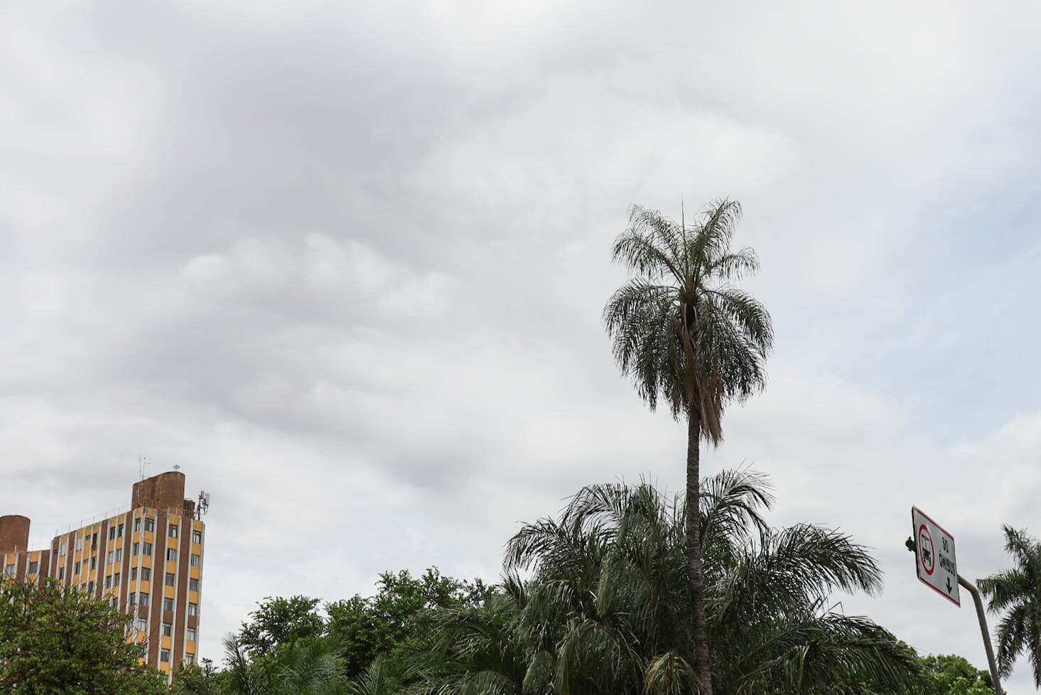 Inmet alerta para ocorrência de chuvas intensas em 49 cidades