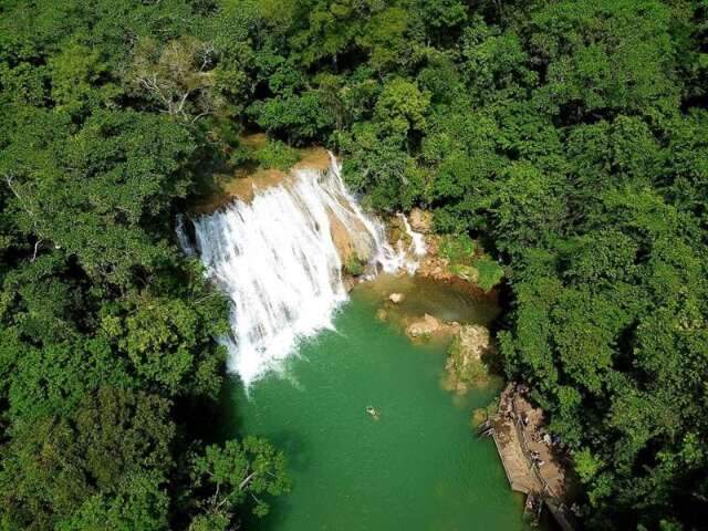 Incentivo &agrave; conserva&ccedil;&atilde;o ambiental destinar&aacute; R$ 1 milh&atilde;o a produtores rurais