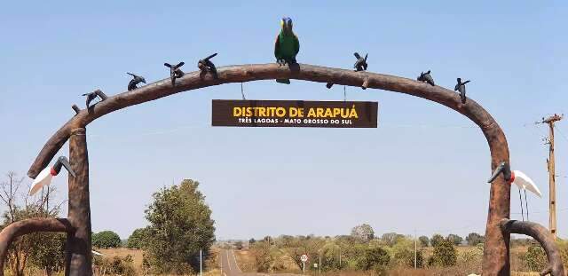 Idoso morre no hospital cinco dias ap&oacute;s ser atacado por vaca