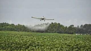 Avião agrícola aplicando agrotóxico glifosato em lavoura de soja (Foto: HIPPOPX)