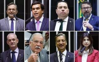 Deputados federais que representam Mato Grosso do Sul (Fotos: Divulgação)