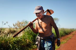 Aos 103 anos, Tito trabalha nos pequenos roçados comunitários do Guyraroka. (Foto: Tiago Miotto/Cimi)