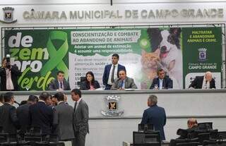 Vereadores em sessão extraordinária ontem. (Foto: Juliano Almeida)