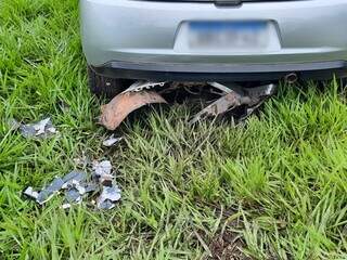 Carro amanhece em canteiro com para-choque destru&iacute;do 