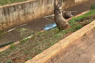 Carro foi retirado na tarde desta segunda-feira (Foto: Direto das Ruas)