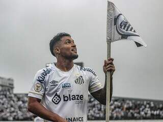 Marcos Leonardo comemora gol com a bandeira do Santos na Vila Belmiro (Foto: Divulgação)