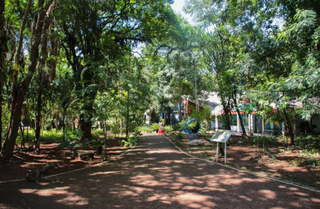 Horto Florestal fica localizado na região central de Campo Grande. (Foto: Paulo Francis)