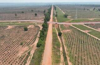 Trechos não pavimentados já recebem melhorias para garantir eficiência no escoamento da produção de eucaliptos (Foto: Agesul)