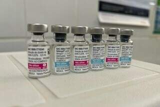 Ampolas com doses da vacina Qdenga, do laboratório japonês Takeda (Foto: Rogério Vidmantas/Prefeitura de Dourados)