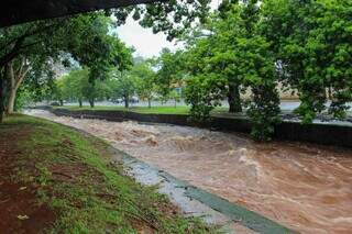 Nível do Córrego Prosa subiu rapidamente por volta das 13h30. (Foto: Juliano Almeida)