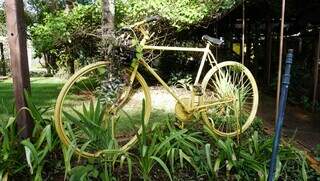 No jardim, bicicleta antiga pintada de amarelo é lembrança do pai ciclista. (Foto: Alex Machado)