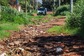 Mato alto tomando conta da via (Foto: Henrique Kawaminami) 